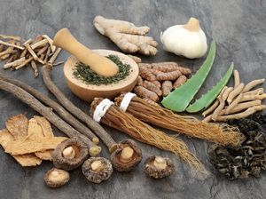 Resep Jamu Indonesia Terancam Punah dan Alami Krisis Bahan Baku Resep Jamu Indonesia Terancam Punah dan Alami Krisis Bahan Baku