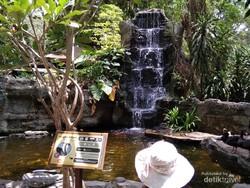 Gembira Loka Jogja Semakin Kekinian dan Instagramable