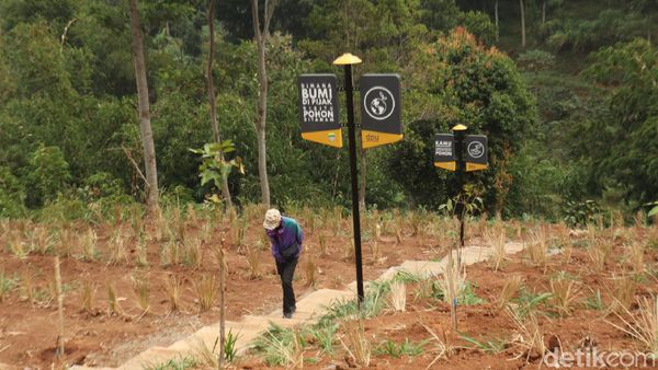 Foto: Lembah Tangga 100, Wisata Baru yang Segar di Bandung
