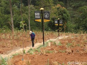 Foto: Lembah Tangga 100, Wisata Baru yang Segar di Bandung Foto: Lembah Tangga 100, Wisata Baru yang Segar di Bandung
