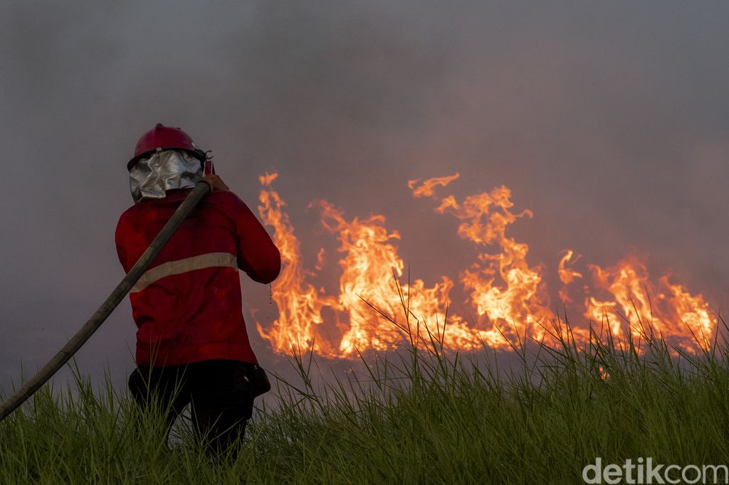 Petugas dari Manggala Agni Daops Banyuasin berusaha memadamkan kebakaran lahan di Desa Rawa Jaya, Pemulutan, Ogan Ilir (OI), Sumatera Selatan, Rabu (11/8/2021). Petugas gabungan dari Manggala Agni Daops Banyuasin dan TNI masih berupaya memadamkan kebakaran dilokasi tersebut.ANTARA FOTO/Nova Wahyudi/aww.