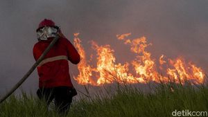 Melihat Perjuangan Damkar Jinakkan Kebakaran Lahan di Ogan Ilir