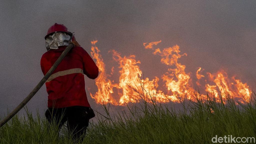 Melihat Perjuangan Damkar Jinakkan Kebakaran Lahan di Ogan Ilir Melihat Perjuangan Damkar Jinakkan Kebakaran Lahan di Ogan Ilir