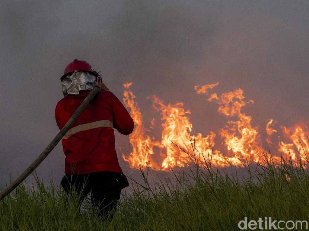 Melihat Perjuangan Damkar Jinakkan Kebakaran Lahan di Ogan Ilir Melihat Perjuangan Damkar Jinakkan Kebakaran Lahan di Ogan Ilir