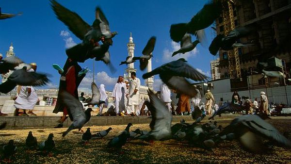 Menerka Nasib Tak Menentu Para Jemaah Umrah dan Haji Indonesia