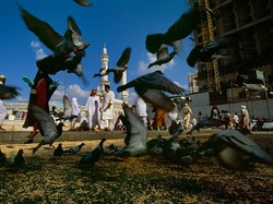 Ini Imbauan Pengingat Agar Tiada Lagi Umrah Colongan