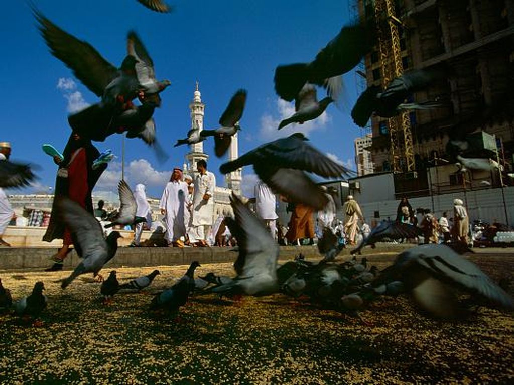 Ini Imbauan Pengingat Agar Tiada Lagi Umrah Colongan Ini Imbauan Pengingat Agar Tiada Lagi Umrah Colongan