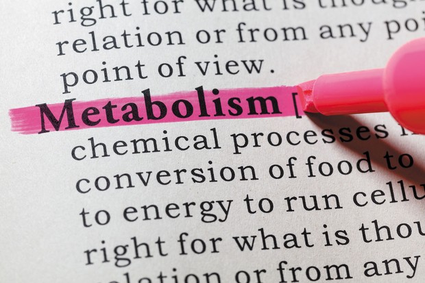 Sistem metabolisme/Foto: health.harvard.edu