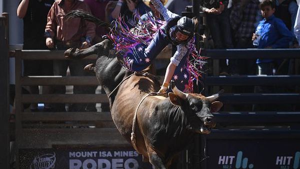 Aksi Berani Para Koboi Menaklukan Banteng Rodeo 