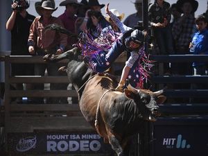 Aksi Berani Para Koboi Menaklukan Banteng Rodeo  Aksi Berani Para Koboi Menaklukan Banteng Rodeo