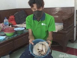 25 Keluarga di Jombang Dapat Bantuan Daging Ayam Busuk, Agen Wajib Mengganti