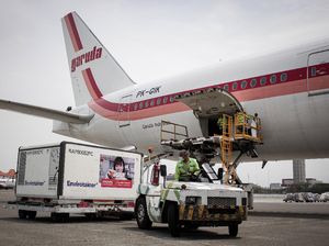 Diangkut Garuda Berlogo Klasik, 5 Juta Vaksin Sinovac Tiba di RI
