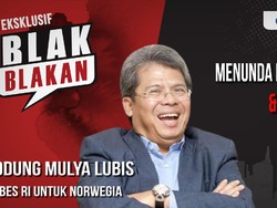 Blak-blakan Todung Mulya Lubis, Tolak Juliari Divonis Mati