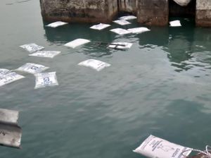 Truk Muatan Pakan Ternak Tercebur ke Laut Pelabuhan Merak Truk Muatan Pakan Ternak Tercebur ke Laut Pelabuhan Merak