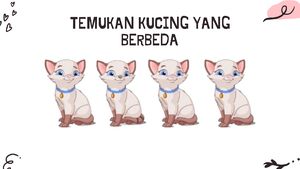 Tebak-tebakan Penghilang Penat Akhir Pekan, Seberapa Jenius Kamu?