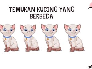 Tebak-tebakan Penghilang Penat Akhir Pekan, Seberapa Jenius Kamu? Tebak-tebakan Penghilang Penat Akhir Pekan, Seberapa Jenius Kamu?