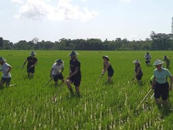 Desa Wisata di Bantul Ini Jadi Rekomendasi buat Lepas Penat Usai PPKM