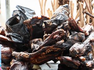 Berani Coba? 5 Makanan Ekstrem Ini Cuma Ada di Indonesia Berani Coba? 5 Makanan Ekstrem Ini Cuma Ada di Indonesia