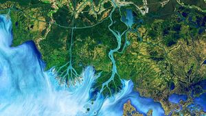 Foto Bumi Seperti Lukisan yang Dipotret dari Satelit