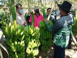 Alumni Ponpes Lamongan Ini Punya Cara Sukses Jihad Ekonomi Saat Pandemi