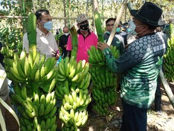 Alumni Ponpes Lamongan Ini Punya Cara Sukses Jihad Ekonomi Saat Pandemi