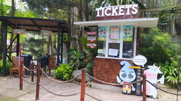 Foto: Cimory Puncak Tutup tapi Ramai Wisatawan