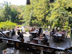 Wisata Puncak Masih Tutup, Traveler Kecele