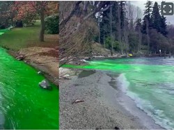 Berubah Jadi Hijau Neon, Danau Ikonik Ini Bikin Panik Satu Negara