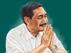 Pengakuan Luhut: Garis komando dari Pusat ke Bawah Perlu Perbaikan di Sana Sini
