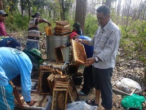 Pengusaha Travel Banting Setir Bisnis Madu Saat Pandemi, Hasilnya Menggiurkan Pengusaha Travel Banting Setir Bisnis Madu Saat Pandemi, Hasilnya Menggiurkan
