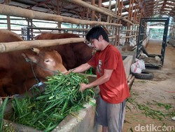 Tak Cuma Pantai, Agrowisata di Serang juga KO Terimbas PPKM