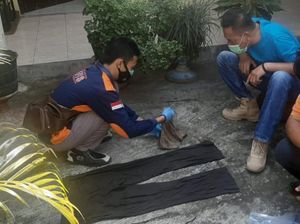 Penampakan Celana yang Ditemukan Dekat Tengkorak Perempuan di Kulon Progo Penampakan Celana yang Ditemukan Dekat Tengkorak Perempuan di Kulon Progo