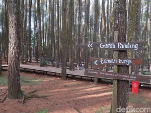 Kunjungan Wisatawan ke Bantul Turun Imbas PPKM Level 3 Kunjungan Wisatawan ke Bantul Turun Imbas PPKM Level 3