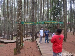 PeduliLindungi Jadi Syarat Kegiatan Wisata, Dispar Bantul: Sulit Diterapkan!