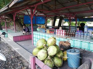 Seruput Es Kelapa di Antara Pesona Sungai Cimanuk dan Hutan Jati