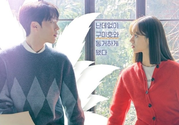 My Roommate is a Gumiho poster / foto: asianwiki.com