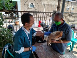 Jawa Barat Dirundung Wabah Flu Burung