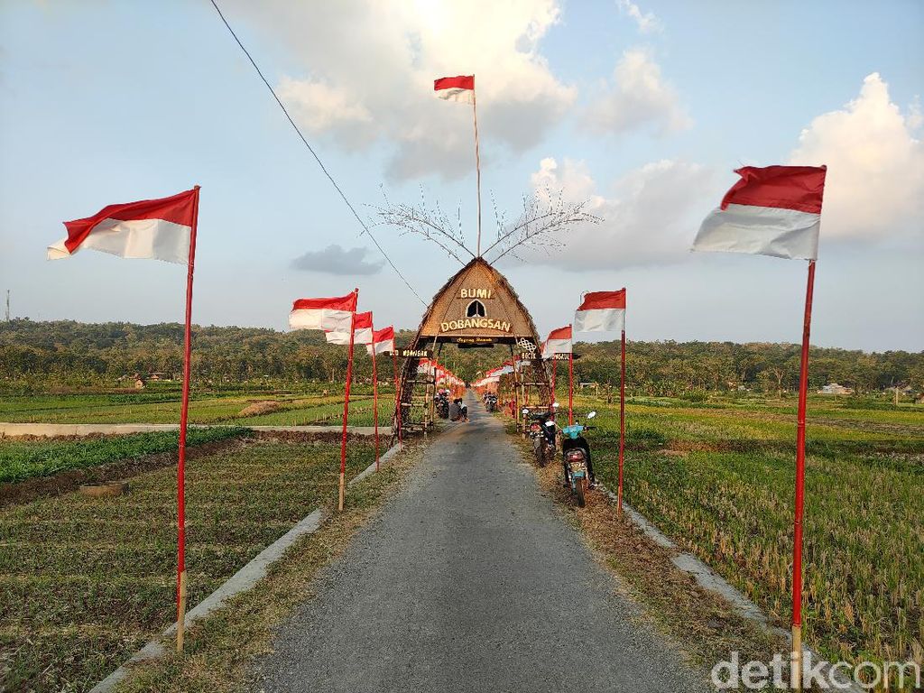 Cantiknya Sawah di Kulon Progo, Dihiasi 1.000 Bendera Merah Putih
