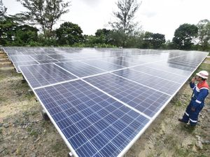 Cucu Usaha Pertamina Ini Turunkan Emisi Karbon hingga 3 Ribu Ton/Tahun Cucu Usaha Pertamina Ini Turunkan Emisi Karbon hingga 3 Ribu Ton/Tahun