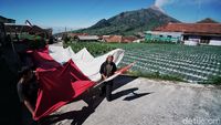 Potret Upacara HUT RI di Lereng Merbabu