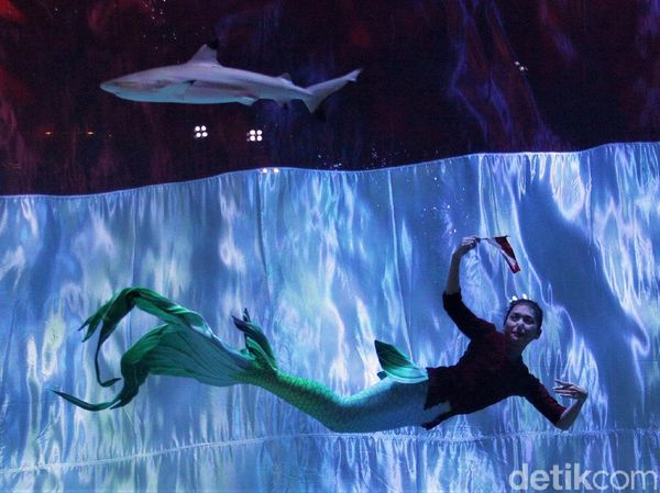 Rayakan Kemerdekaan RI, Bendera Merah Putih Berkibar di dalam Air