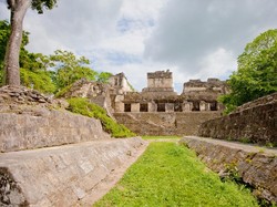 Singkong Bukan dari Indonesia, Dahulu Pun Dikonsumsi Suku Maya