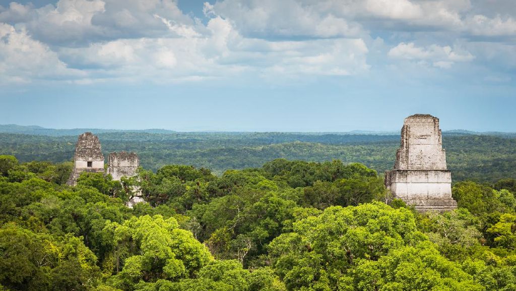 Potret Tikal, Kota Maya yang Paling Canggih Teknologinya