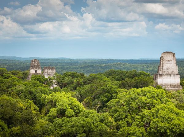 Potret Tikal, Kota Maya yang Paling Canggih Teknologinya