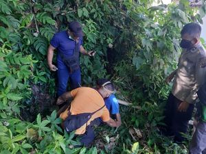 Viral Pria Hilang Misterius, Ngaku Diajak Makan Noni Belanda di Gua Jepang