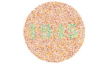 Tes Buta Warna Edisi 17 Agustus, Tebak Kata-kata Berikut Ini