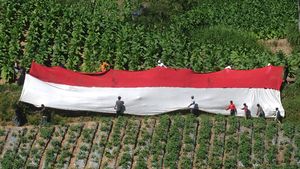 Bendera Merah Putih Raksasa Membentang di Kaki Gunung Merbabu