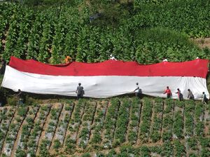 Bendera Merah Putih Raksasa Membentang di Kaki Gunung Merbabu Bendera Merah Putih Raksasa Membentang di Kaki Gunung Merbabu