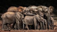 Karya Jawara Konten Foto CEWE Bikin Mata Terkesima
