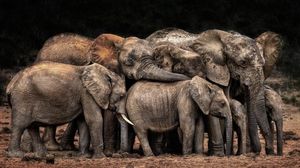 Karya Jawara Konten Foto CEWE Bikin Mata Terkesima